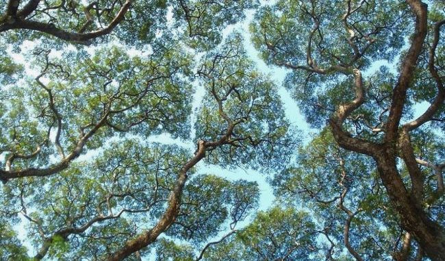 Το τοπίο του lock down – σκέψεις στην σκιά της&nbsp;πανδημίας